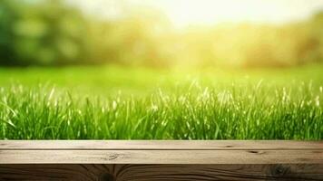 disorientante primavera Comune fondazione con verde inutilizzato delizioso eccitato erba e pulizia di legno tavolo nel natura mattina Aperto vedere a. creativo risorsa, video animazione