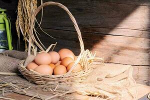 Basket of fresh eggs and chicken eggs with dried straw lying on a wooden background table on an organic farm photo