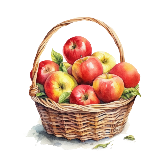 Apple Basket PNGs for Free Download