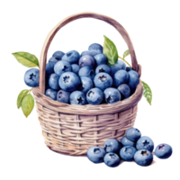 Aquarell Blaubeeren im Korb ausgeschnitten png