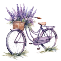 Cute watercolor bicycle with flowers. Illustration png