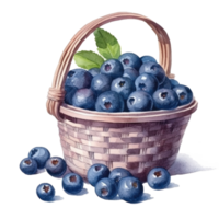 Watercolor blueberries in basket cutout png