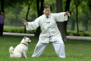 perro Tai chi deporte. generar ai foto