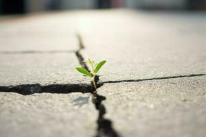 planta crecer grieta pavimento vida. generar ai foto