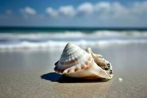 Shell on sea sunny beach. Generate Ai photo