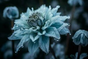 Frozen blue flower. Generate Ai photo