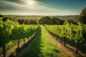 Vineyard landscape. Generate Ai photo