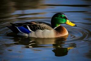 Pato pájaro parque lago. generar ai foto