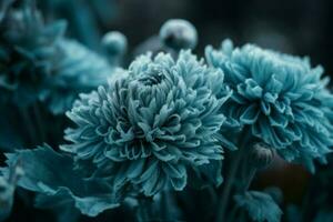 Frozen blue flower winter. Generate Ai photo