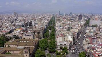 grandiose via dans Barcelone une arboré rue dans le animé gothique ville video