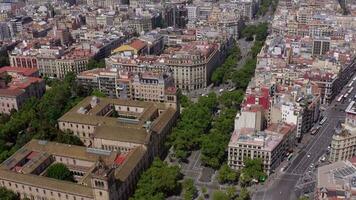 grandiose via dans Barcelone une arboré rue dans le animé gothique ville video