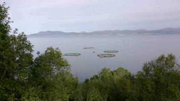 An Aquaculture Fish Farm Used to Hold Fish Stocks for Food video