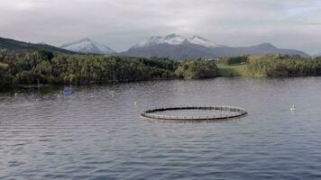 un aquaculture poisson ferme stylo utilisé à tenir poisson les stocks pour nourriture video