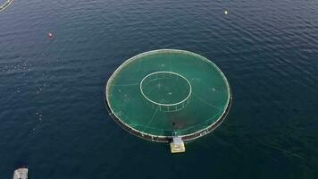 un acuicultura pescado granja bolígrafo usado a sostener pescado cepo para comida video