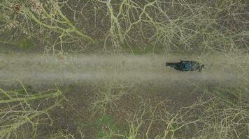 A Horse Rider on a Hack Through Woodland Path Bird's Eye View video