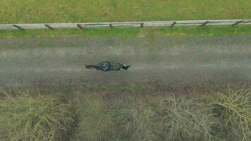 une cheval cavalier sur une pirater aux côtés de les bois et paddocks des oiseaux œil vue video