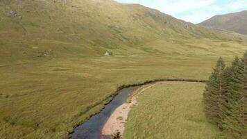 Red Deer In The Scottish Highlands Surrounded By Beautiful Landscape video