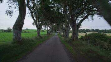 el oscuro setos en del Norte Irlanda un popular turista atracción video