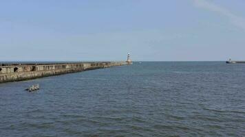 Tynemouth Wellenbrecher und Leuchtturm im das Sommer- video