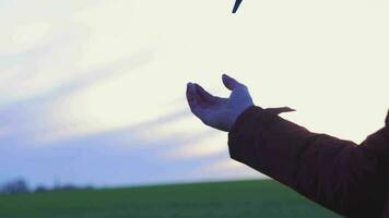 Drone Takeoff and Landing from the Hand of a Pilot video