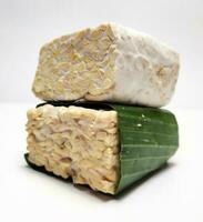 Raw Tempeh or Tempe, Indonesian traditional food, made from fermented soybeans, On White Background. photo