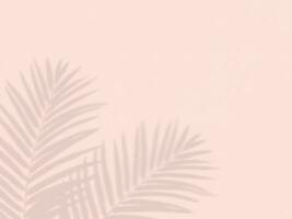Pastel background, palm tree leaves on the wall photo