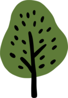 Doodle tree freehand drawing png