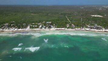 Caraïbes des plages couvert dans sargasses algue aérien vue video