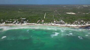 strand i mexico täckt i gulfweed tång förstöra de skön sandig stränder video