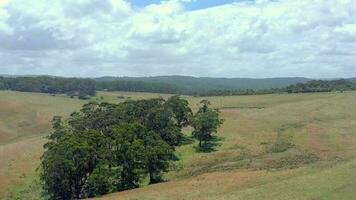 Australian Outback Farmland Aerial Flyover in the Summer video