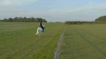 niña montando un blanco caballo en el campo video