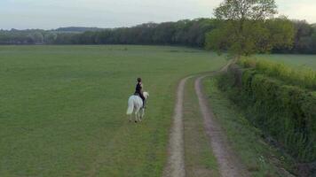 niña montando un blanco caballo en el campo video