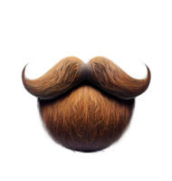 Moustaches isolated on the transparent background, created with png