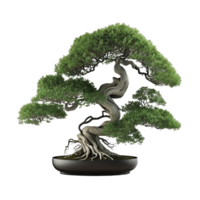 Bonsai tree on transparent background, created with png