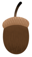 acorn illustration png