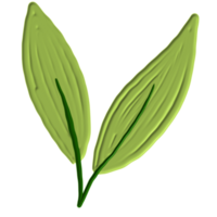 green leaf painted png