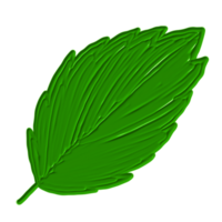 une feuille verte png