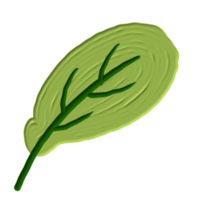 een groen blad png