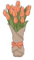 tulipano fiore illustrazione png