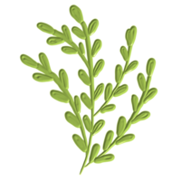 a green leaf png