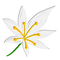 white flower painted png