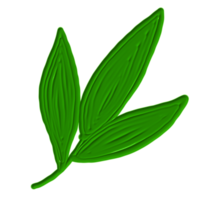 un' verde foglia png