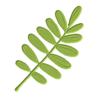 a green leaf png