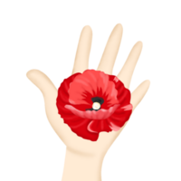 vinger en papaver bloem png