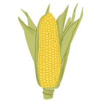 mano dibujado vegetales ilustración png