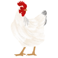 uma frango ilustração png