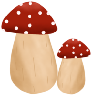 mushroom on the forest png