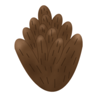 pijnboom bloem illustratie png