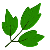 uma folha verde png