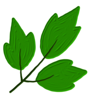 una hoja verde png